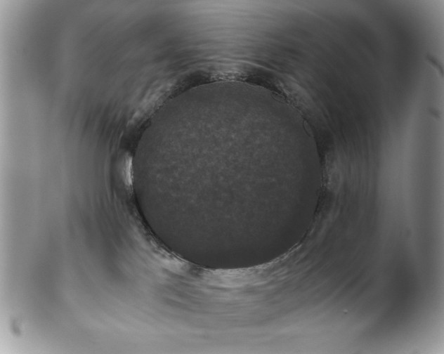 X0000102800041200808181210