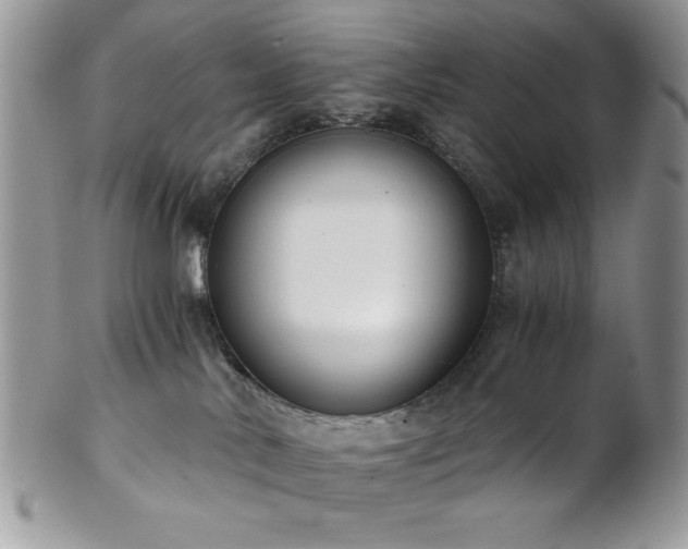X0000102800042200808181210