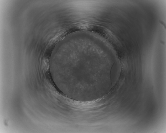 X0000102800043200808181210