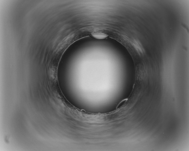 X0000102800044200808181210