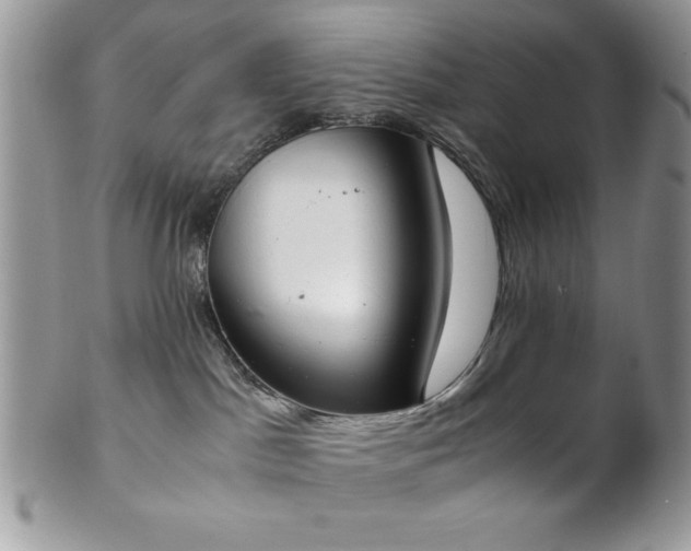 X0000102800045200808181210