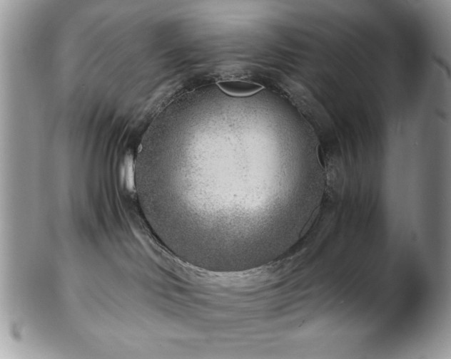 X0000102800046200808181210