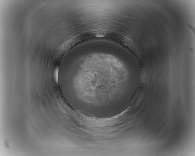 X0000102800047200808181210