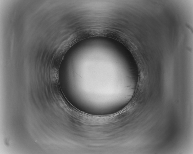 X0000102800048200808181210