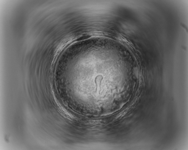 X0000102800049200808181209