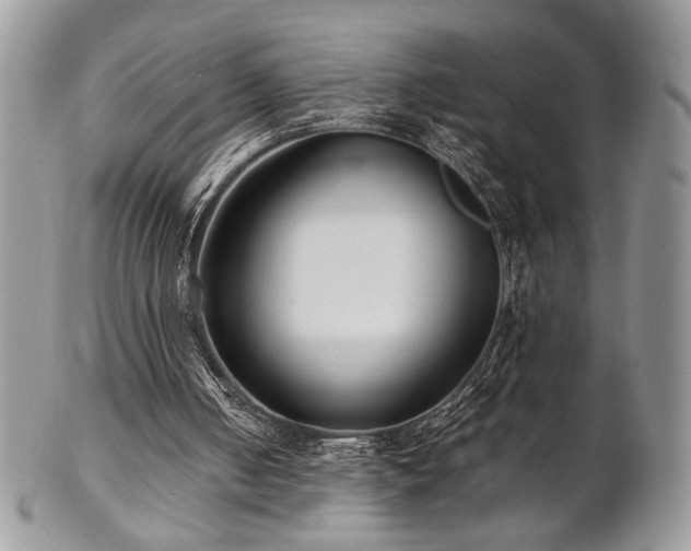 X0000102800050200808181209