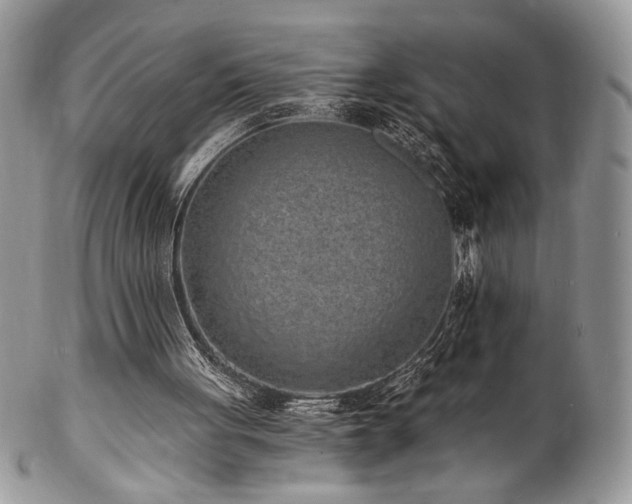 X0000102800051200808181209