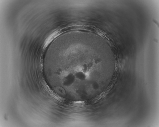 X0000102800053200808181209