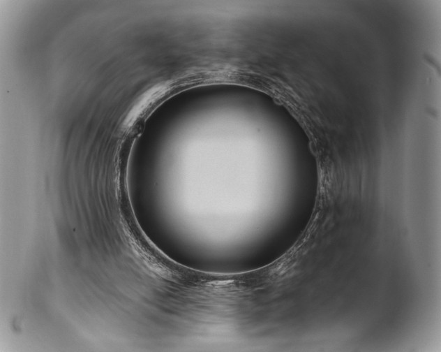 X0000102800054200808181209