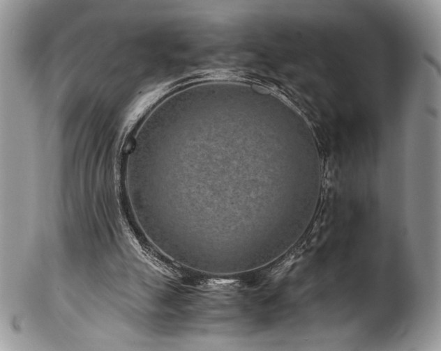 X0000102800055200808181209
