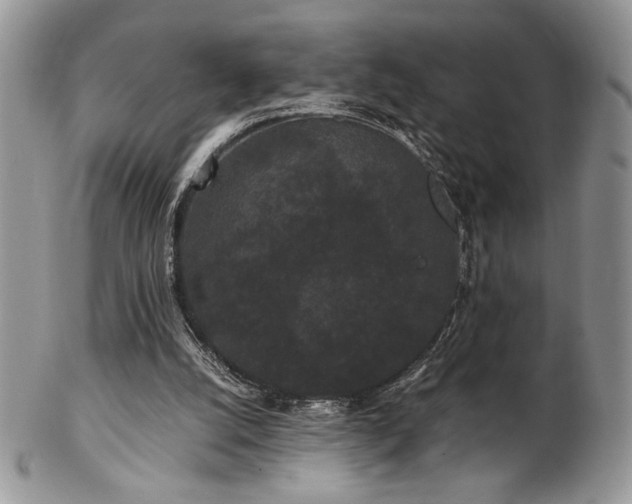 X0000102800056200808181209