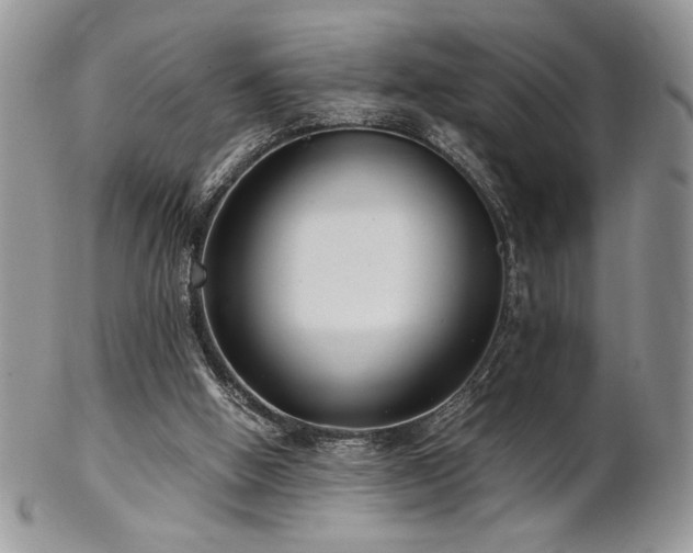 X0000102800058200808181209