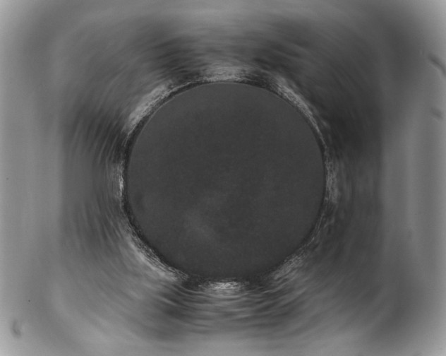 X0000102800059200808181209