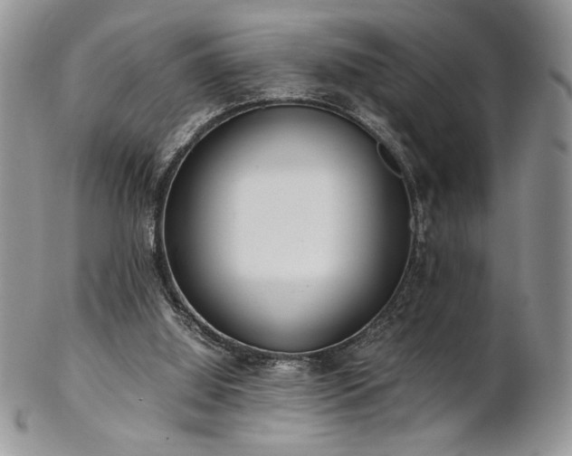 X0000102800060200808181210
