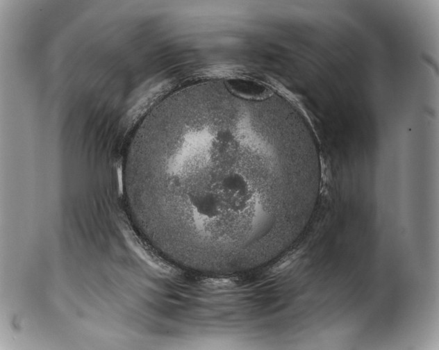 X0000102800061200808181210