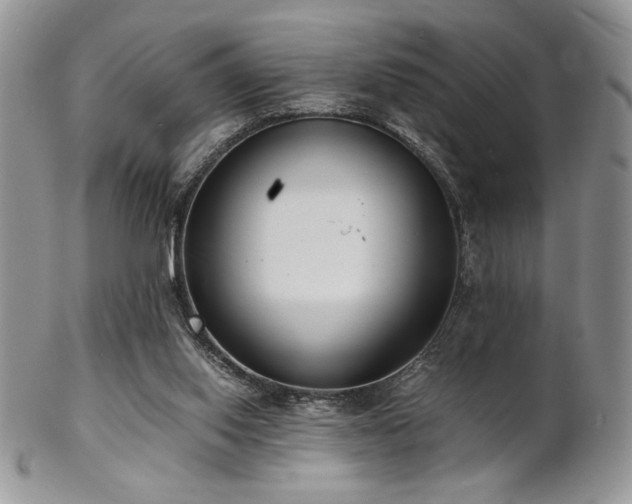X0000102800062200808181210