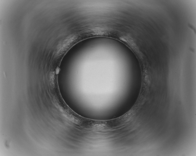 X0000102800066200808181210