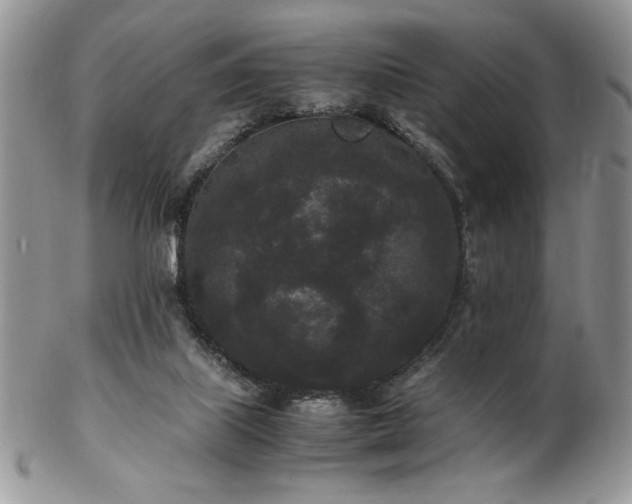 X0000102800067200808181210