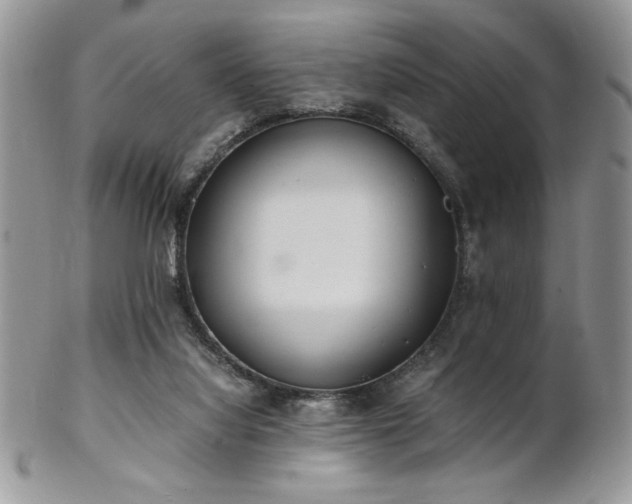 X0000102800068200808181210