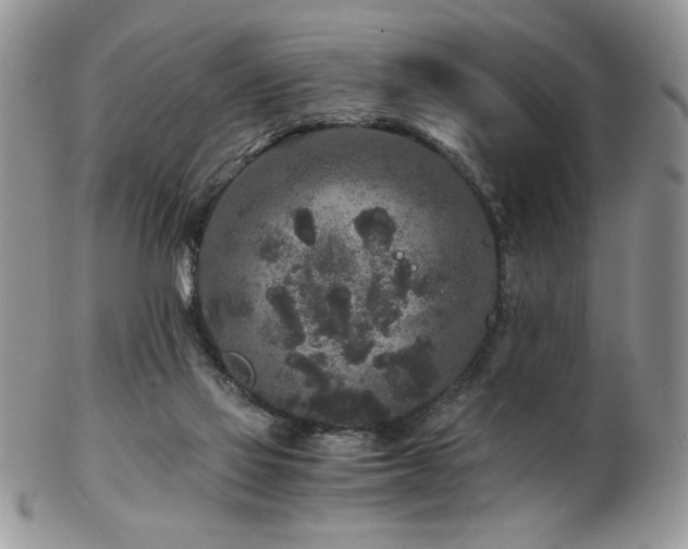 X0000102800069200808181210