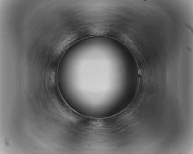 X0000102800071200808181210
