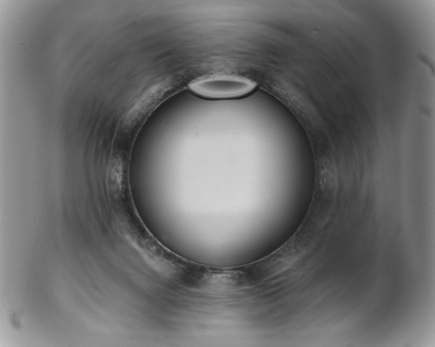 X0000102800072200808181210