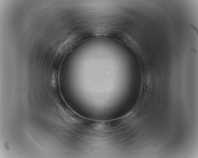 X0000102800074200808181210