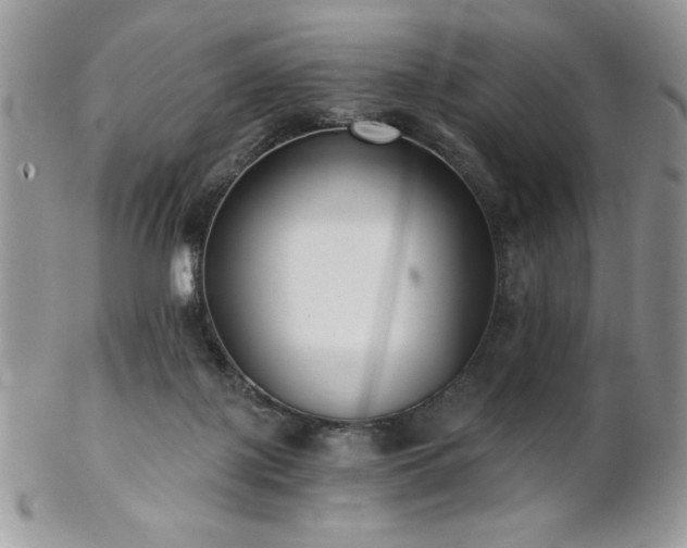 X0000102800075200808181210