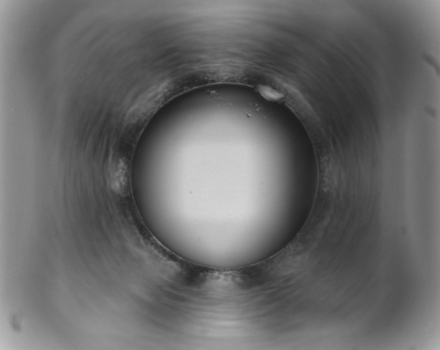 X0000102800077200808181210