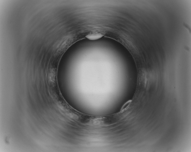 X0000102800078200808181210