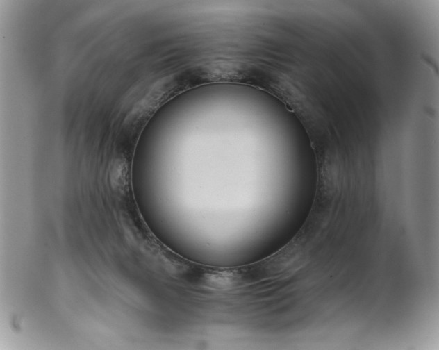 X0000102800079200808181210