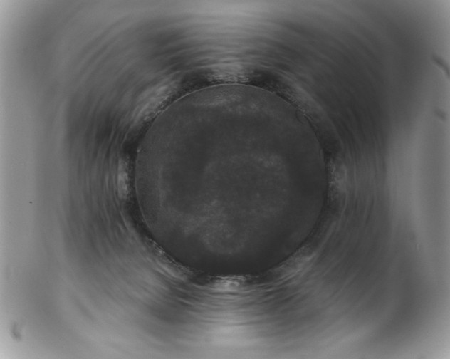 X0000102800080200808181210
