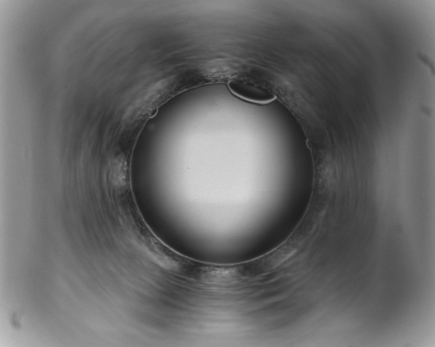 X0000102800081200808181210