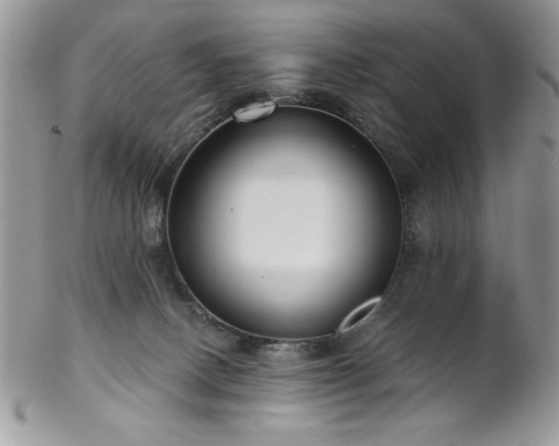 X0000102800082200808181210