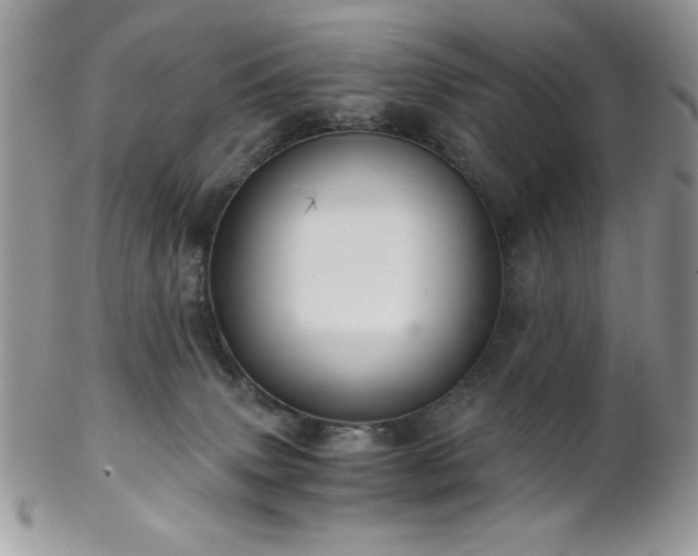 X0000102800083200808181210