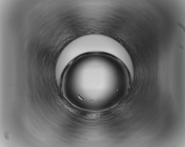 X0000102800084200808181210