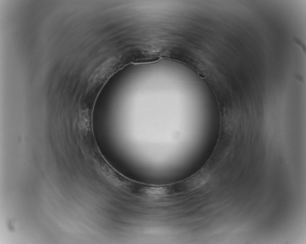 X0000102800085200808181210