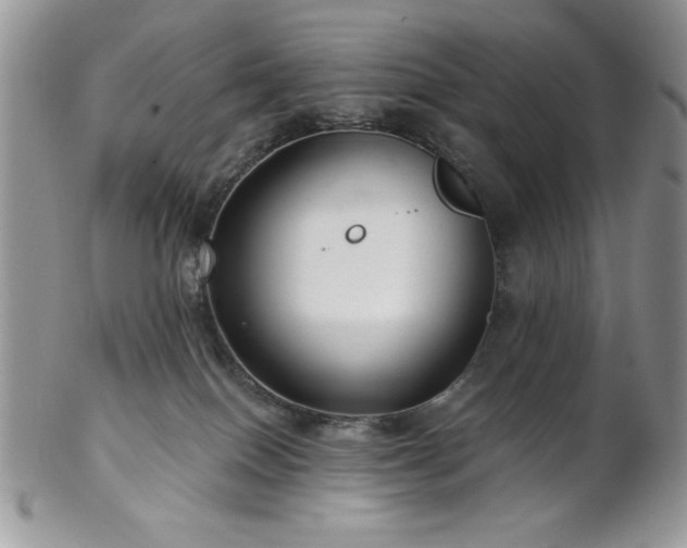 X0000102800086200808181210