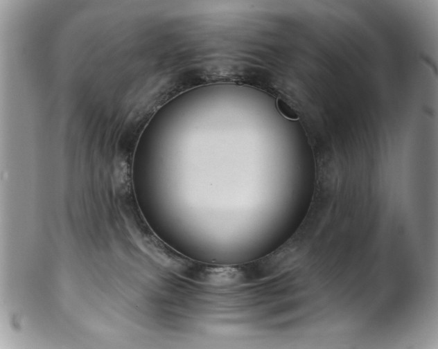 X0000102800087200808181210