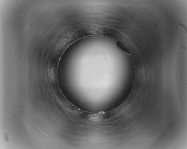 X0000102800088200808181210
