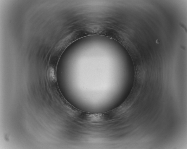 X0000102800089200808181210