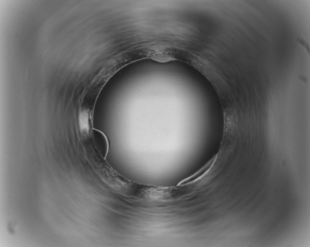 X0000102800094200808181210