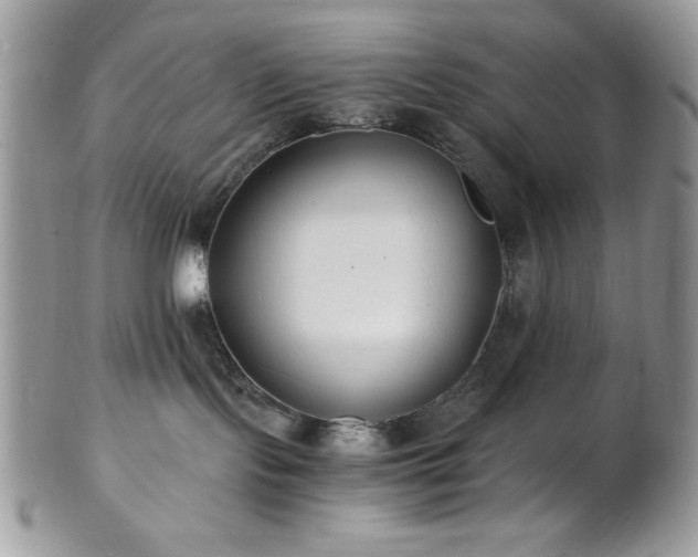 X0000102800095200808181210