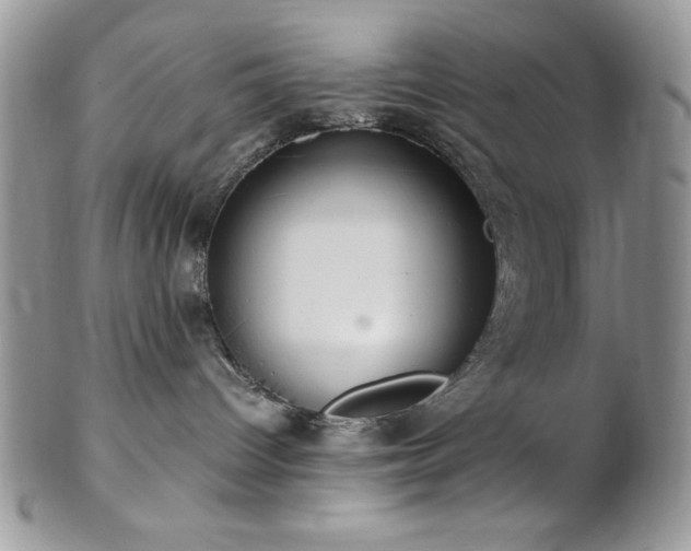X0000102800096200808181210