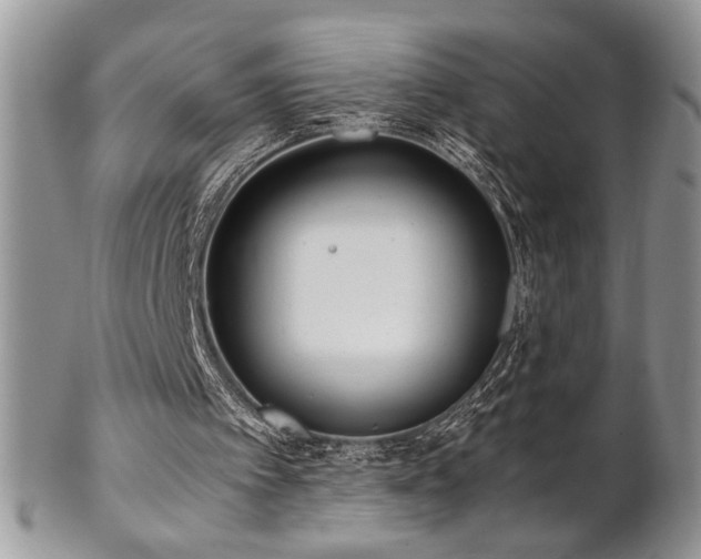 X0000102800097200808181209