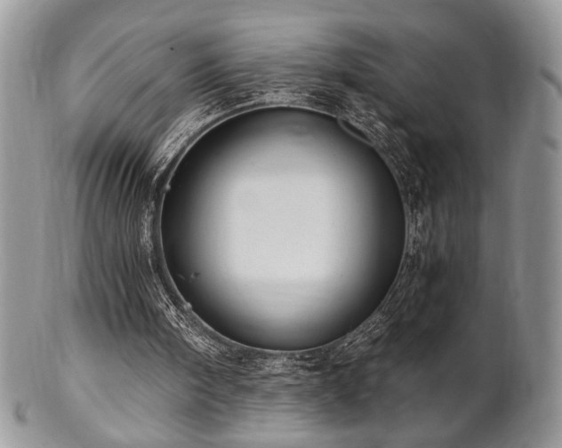 X0000102800098200808181209