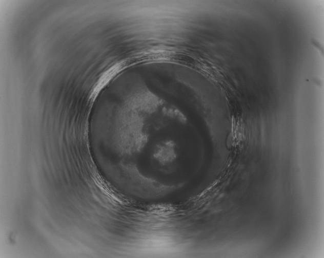 X0000102800099200808181209
