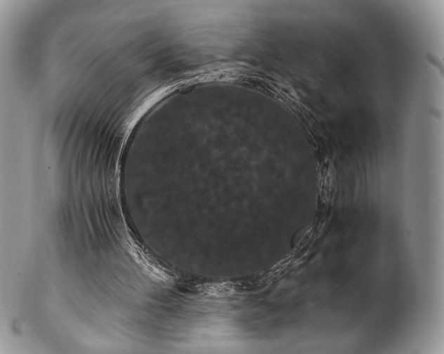 X0000102800100200808181209