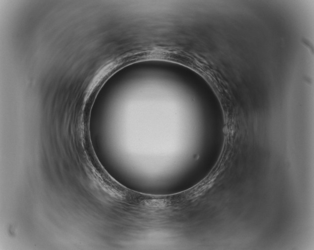 X0000102800102200808181209