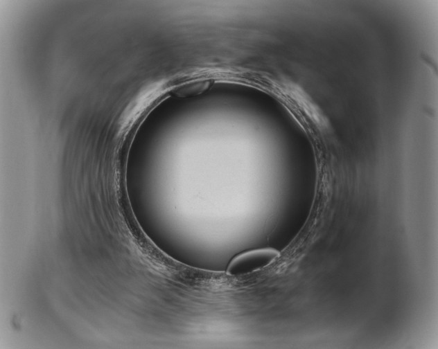 X0000102800103200808181209